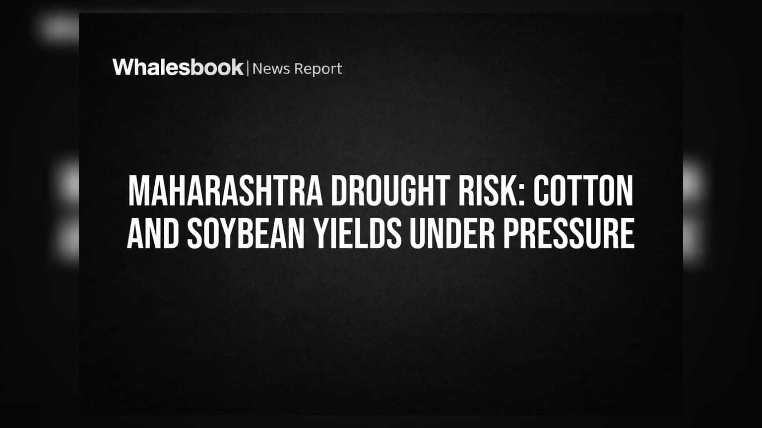Maharashtra Drought Risk: Cotton And Soybean Yields Under Pressure