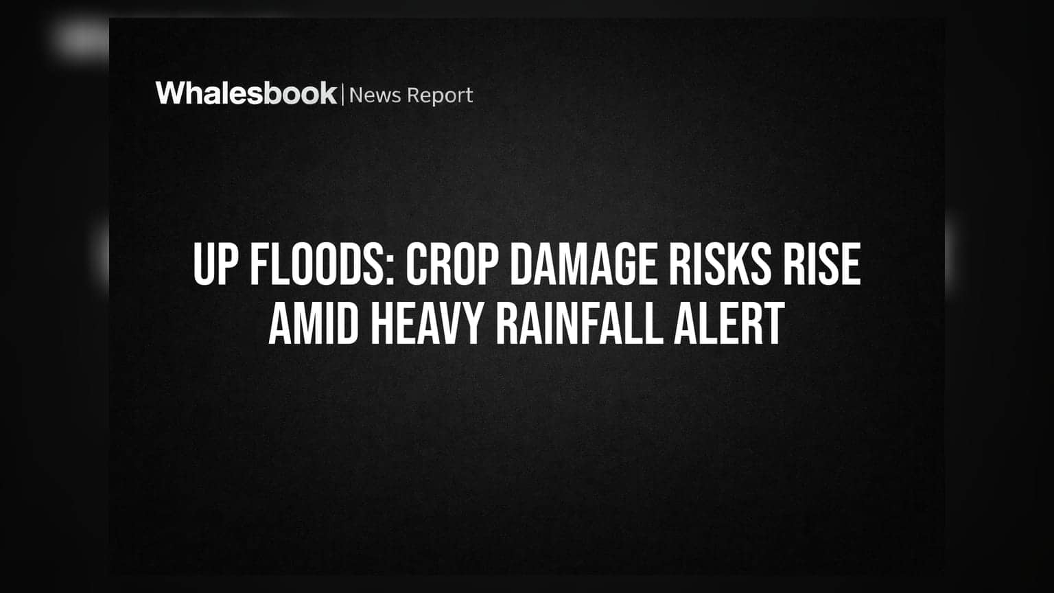 UP Floods: Crop Damage Risks Rise Amid Heavy Rainfall Alert