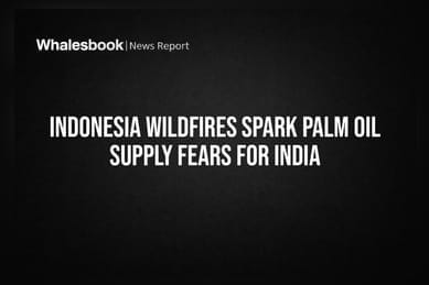 Indonesia Wildfires Spark Palm Oil Supply Fears For India