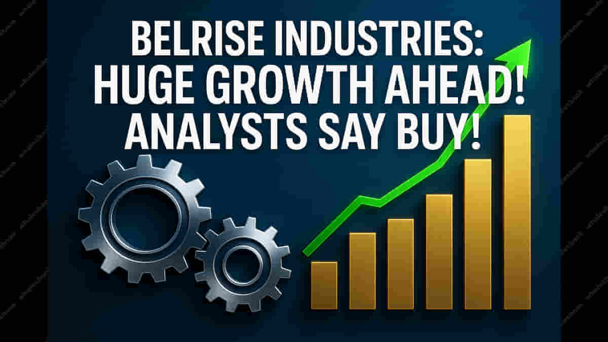 Belrise Industries: Road to Riches? Analyst Sees Massive Growth & Initiates 'Buy' With Stunning Price Target!