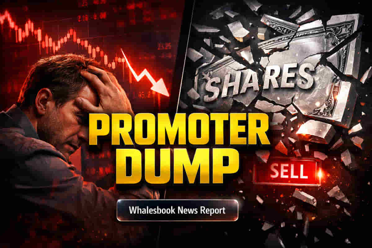 ProFin Capital Services: ਪ੍ਰਮੋਟਰ ਗਰੁੱਪ ਨੇ ਵੇਚੀ 1.16% ਹਿੱਸੇਦਾਰੀ, ਨਿਵੇਸ਼ਕਾਂ 'ਤੇ ਕੀ ਹੋਵੇਗਾ ਅਸਰ?