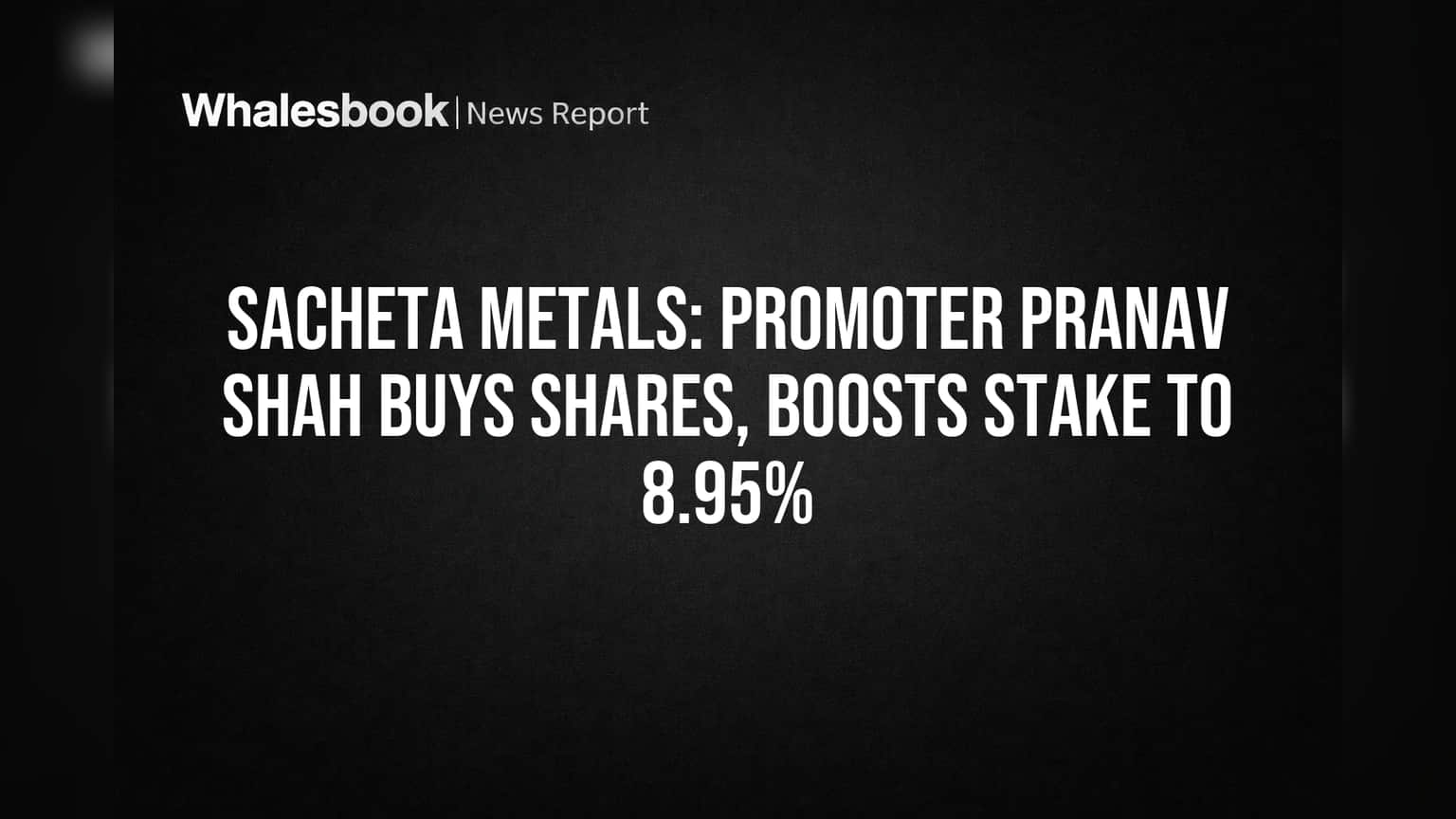Sacheta Metals Share: प्रमोटर का बड़ा दांव! **8.95%** तक बढ़ाई हिस्सेदारी, जानिए वजह