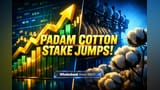Padam Cotton Yarns Share: Bon Lon ne ki ₹9 Crore ki entry! Kya share mein aayegi badi tezi?
