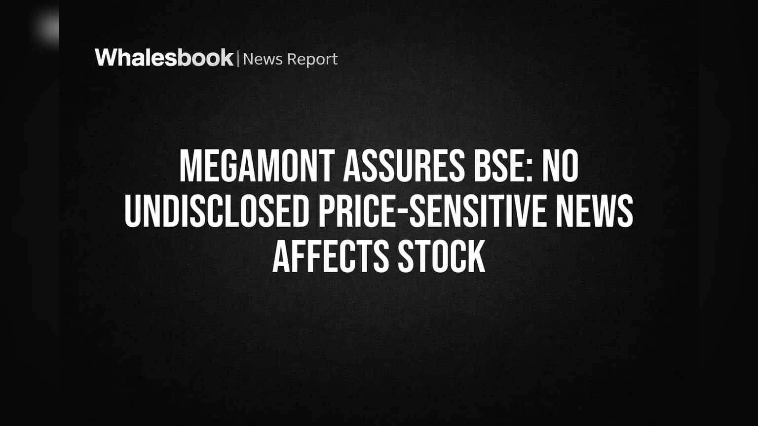 Megamont Shares: BSE च्या प्रश्नावर कंपनीचे स्पष्टीकरण, शेअरमध्ये कोणतीही मोठी बातमी नाही!