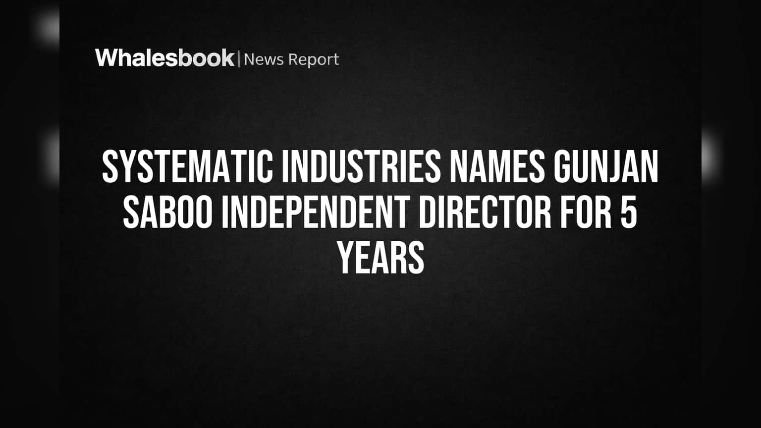 Systematic Industries માં નવા ડિરેક્ટરની એન્ટ્રી! ગુંજન સબૂ 5 વર્ષ માટે બોર્ડમાં જોડાયા
