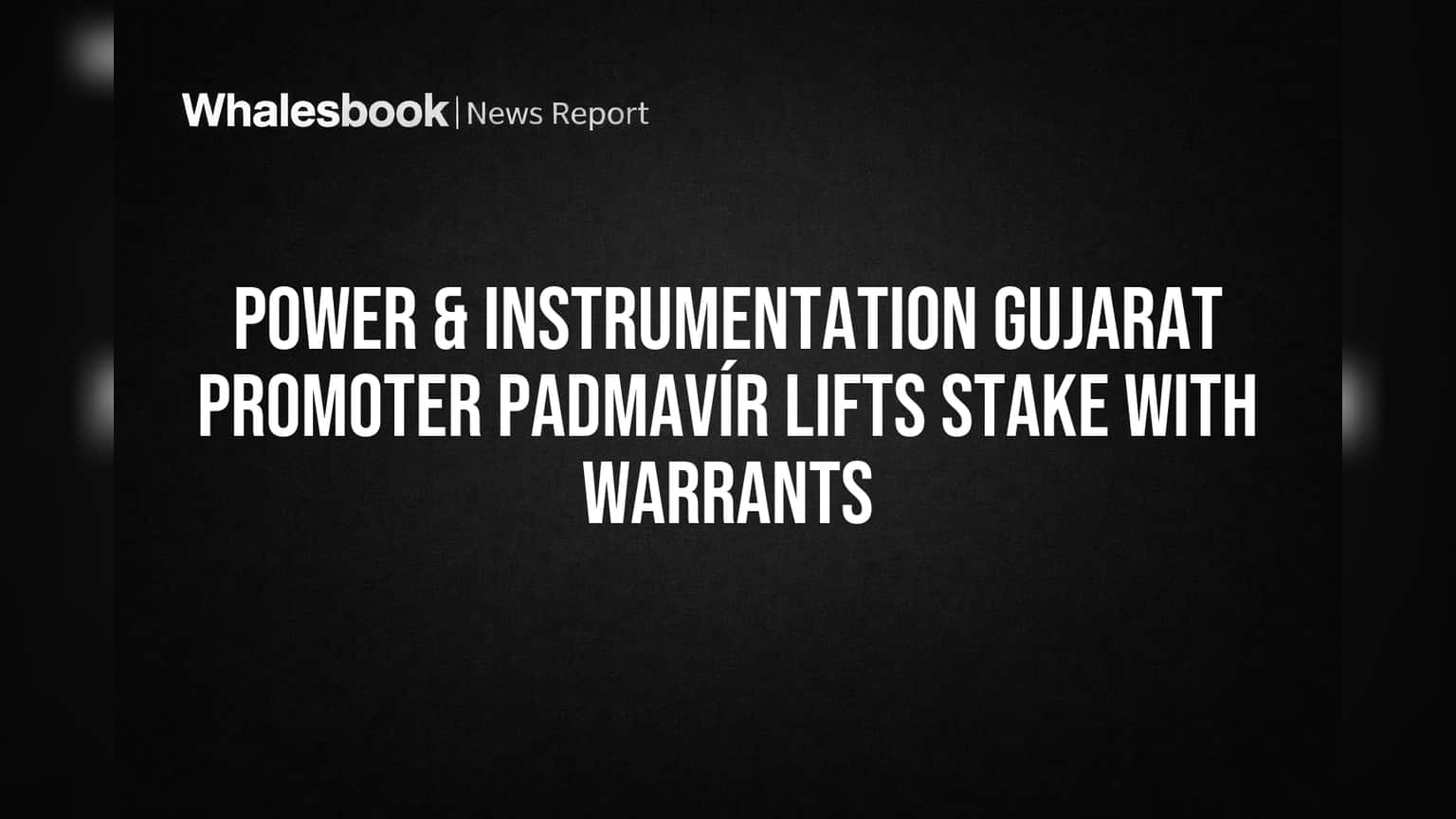 Power & Instrumentation Gujarat Share: प्रमोटरचा गेम प्लॅन! वाढवली हिस्सेदारी, गुंतवणूकदारांसाठी काय?