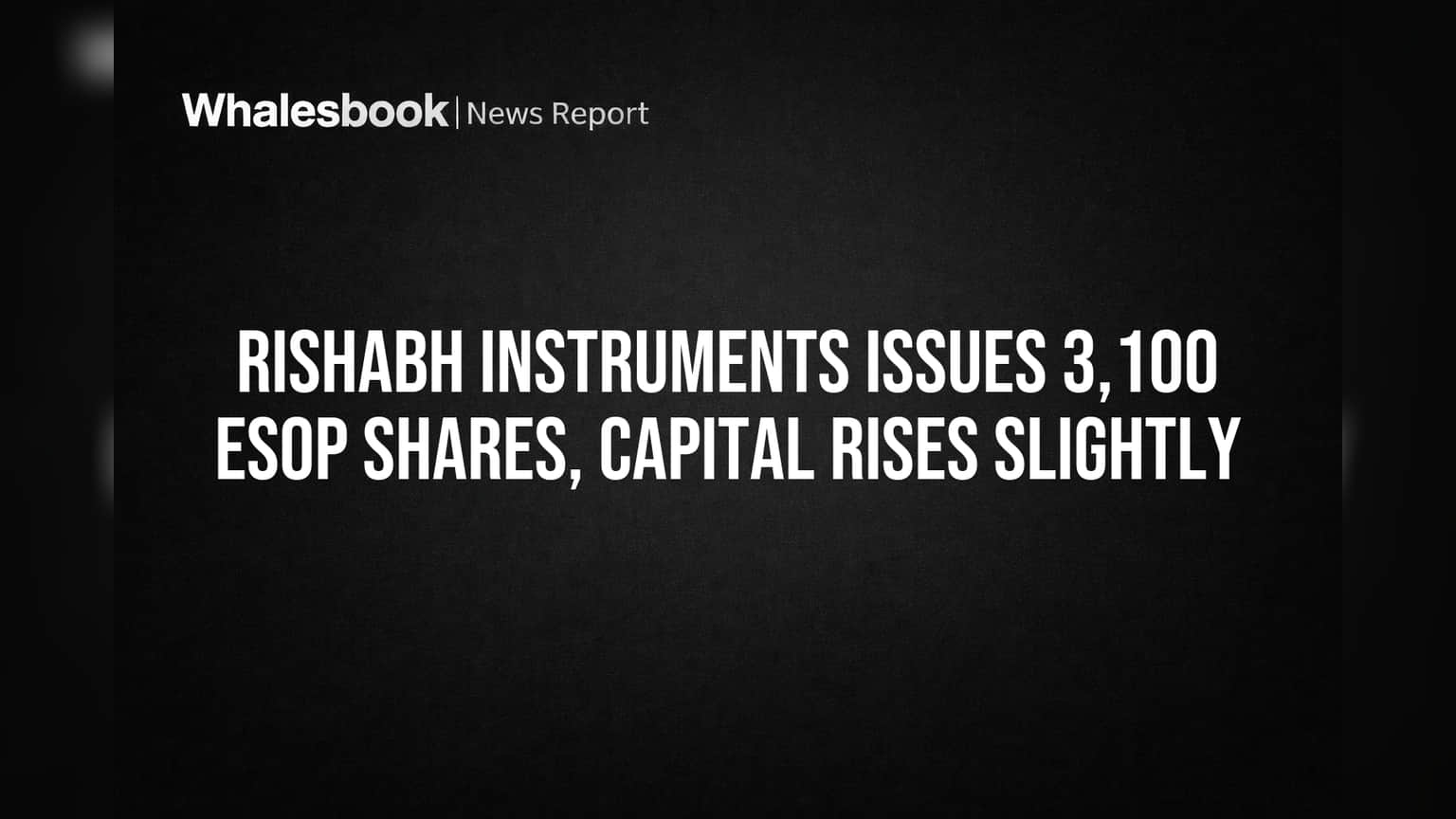 Rishabh Instruments Issues 3,100 ESOP Shares, Capital Rises Slightly