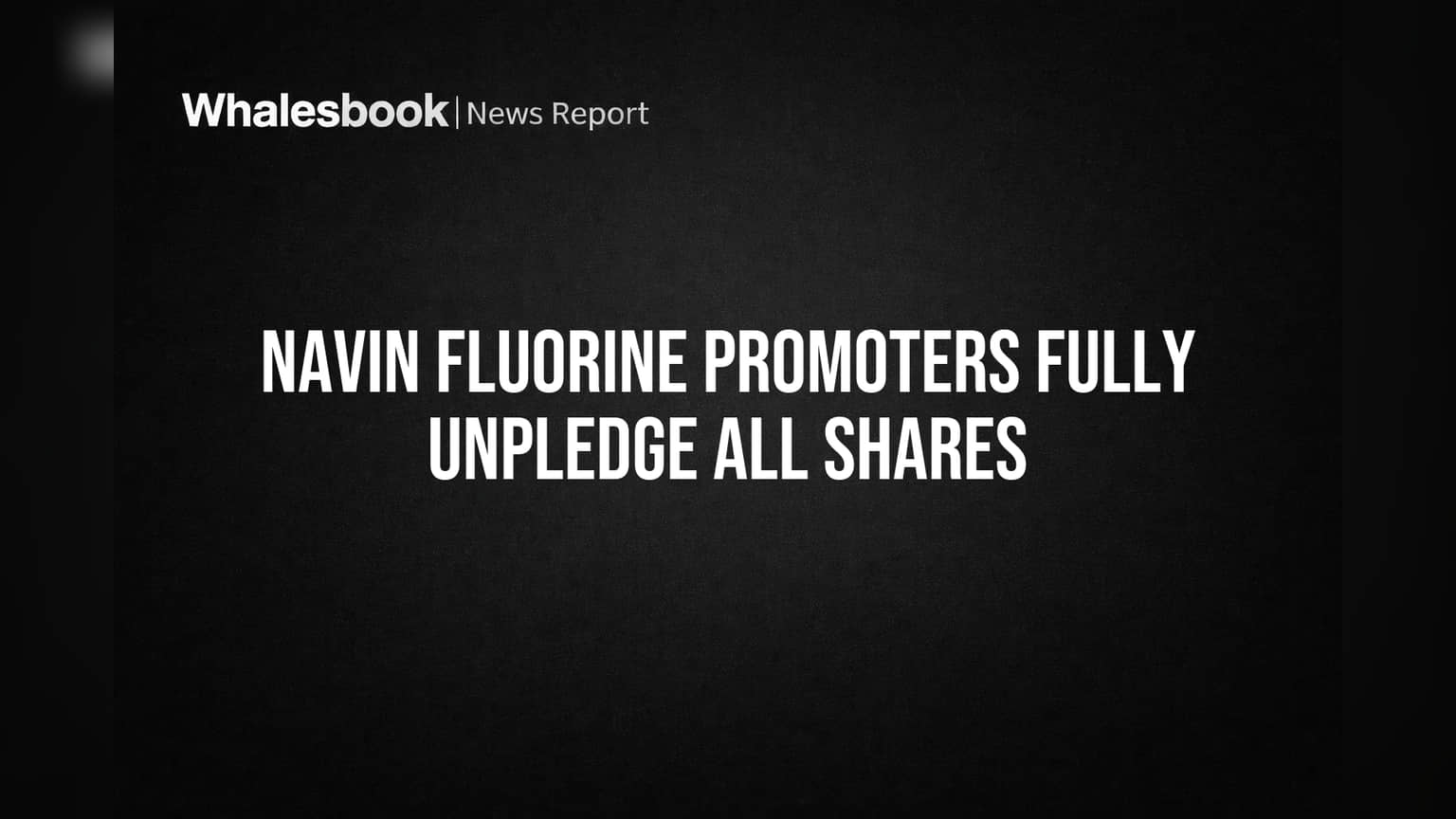 Navin Fluorine: प्रमोटर्सचे सर्व शेअर्स झाले 'अनप्लेज्ड'! मोठा दिलासा, गुंतवणूकदारांचा विश्वास वाढणार?