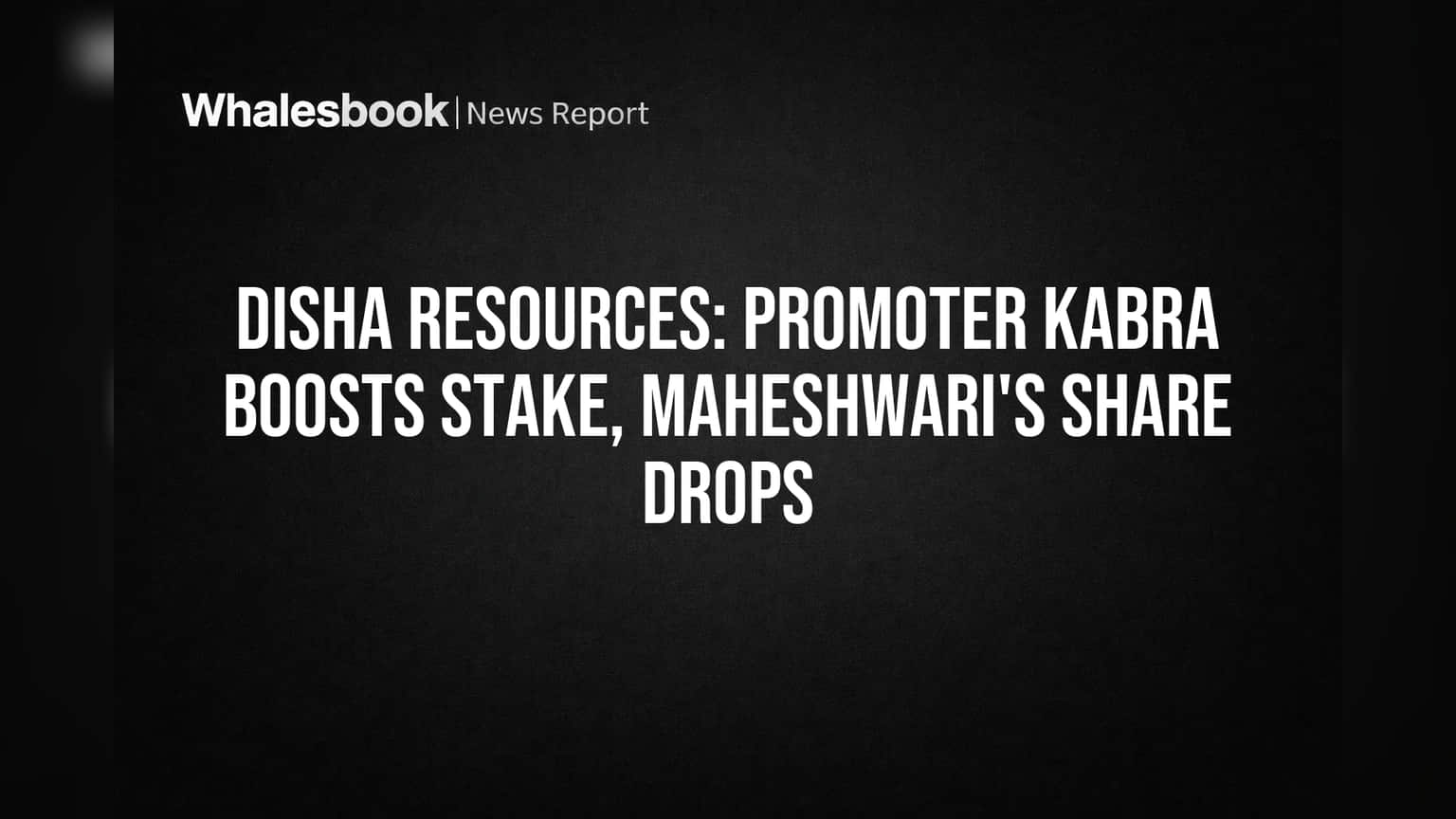 Disha Resources Share Price: प्रवर्तक गटात मोठे फेरबदल! एकाचा हिस्सा वाढला, दुसऱ्याचा कमी झाला
