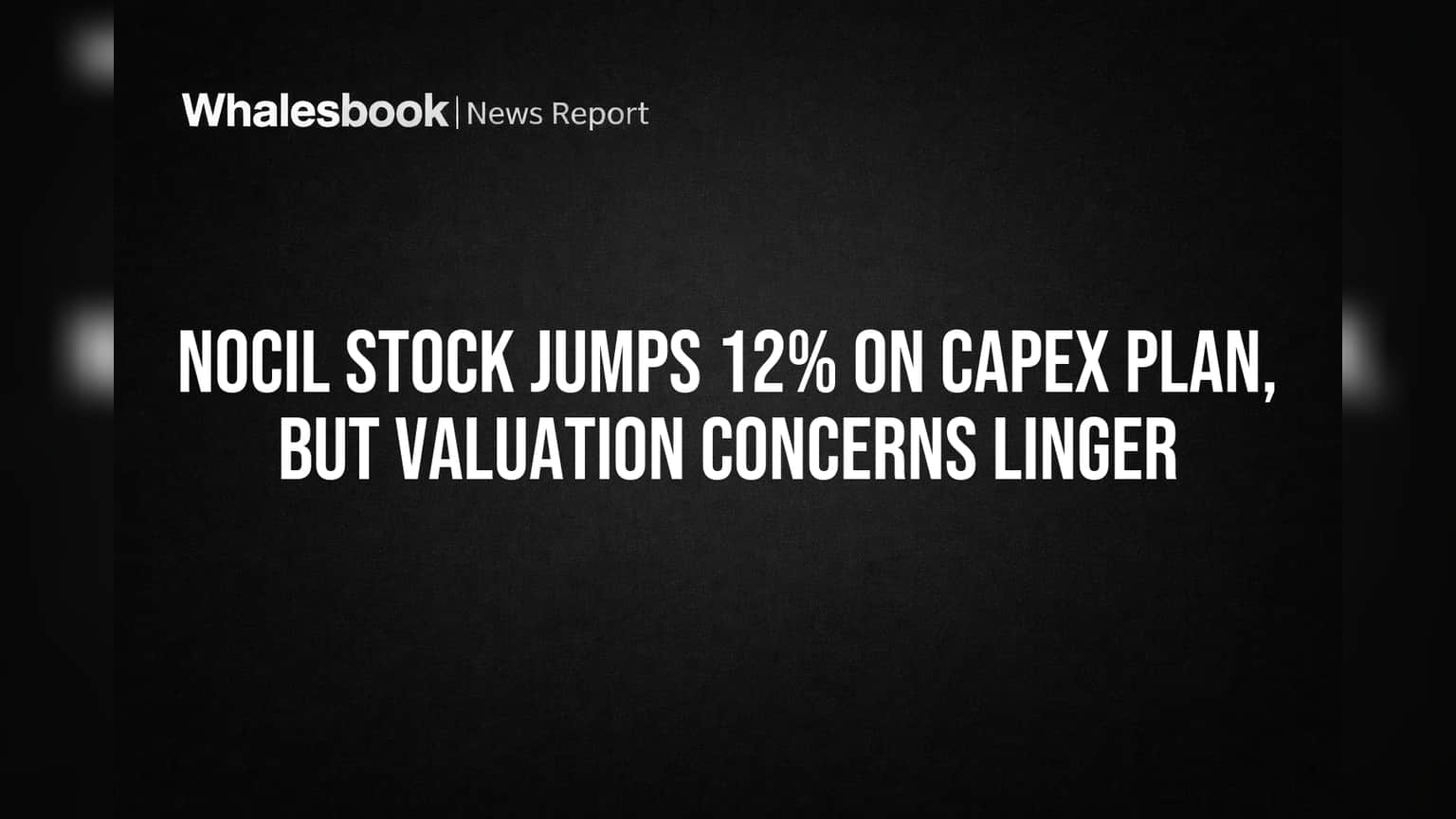 NOCIL Stock Jumps 12% on Capex Plan, But Valuation Concerns Linger