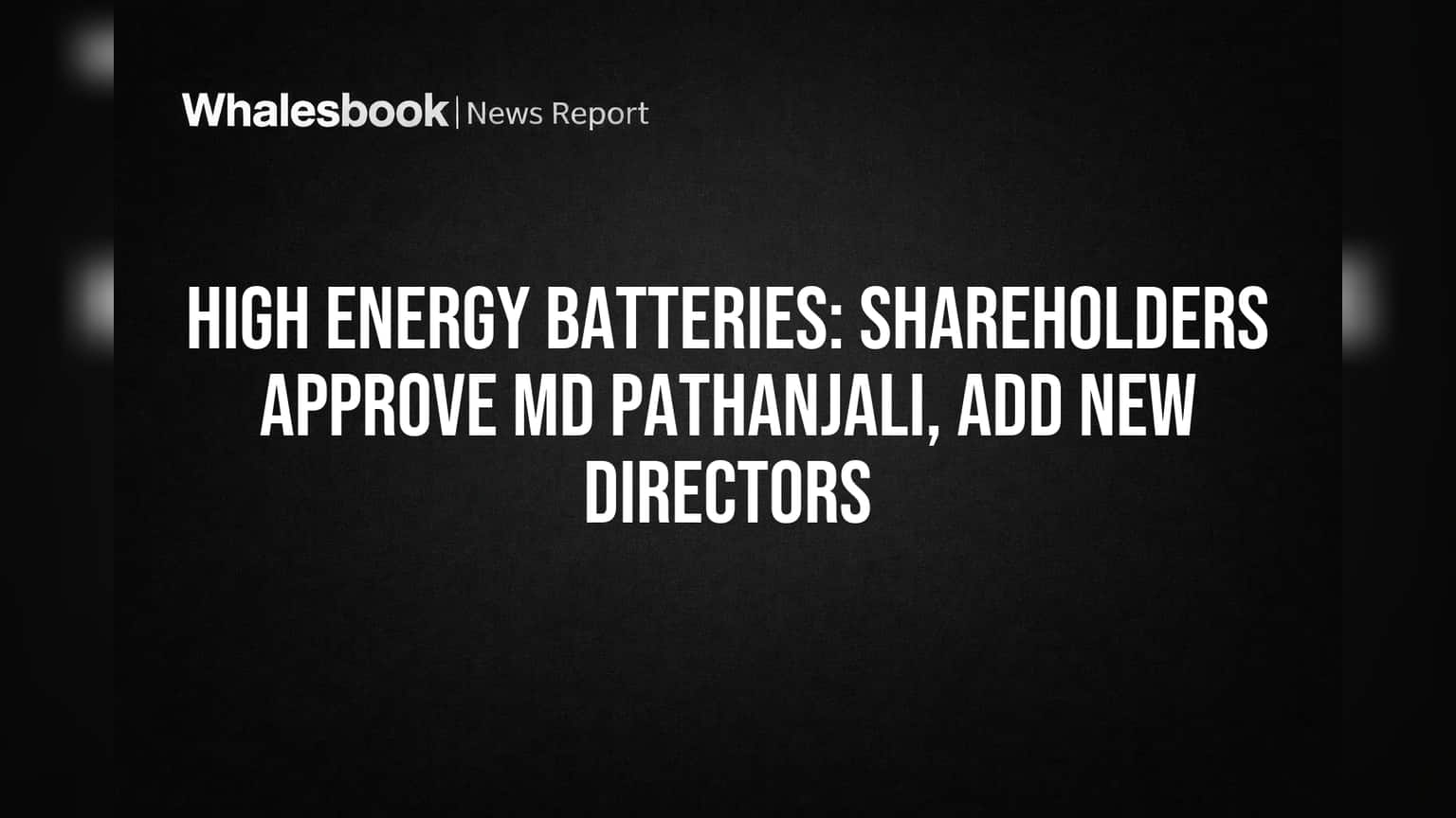 High Energy Batteries Share: શેરધારકોનો જબરદસ્ત વિશ્વાસ! MD ડૉ. પથંજલિની પુનઃનિમણૂક, નવા ડિરેક્ટર્સને પણ મળી મંજૂરી