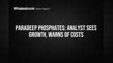 Paradeep Phosphates Share: विश्लेषकांचा 'Accumulate' कॉल, पण 'या' धोक्यांकडे लक्ष!