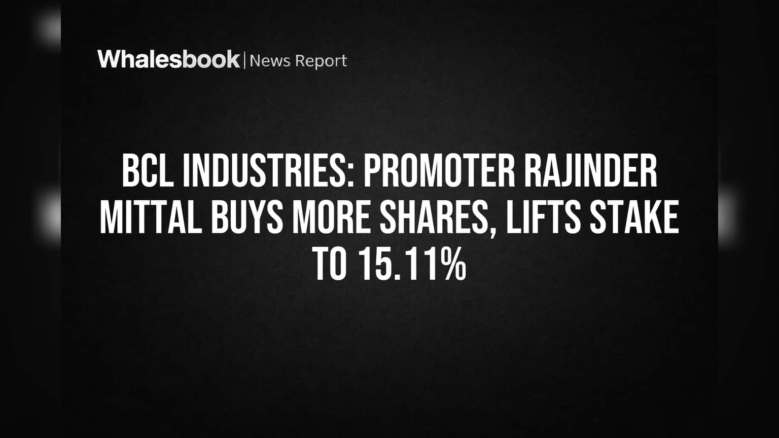 BCL Industries Share Price: પ્રમોટરનો મોટો દાવ! રાજિંદર મિત્તલે હિસ્સો વધારીને કર્યો **15.11%**