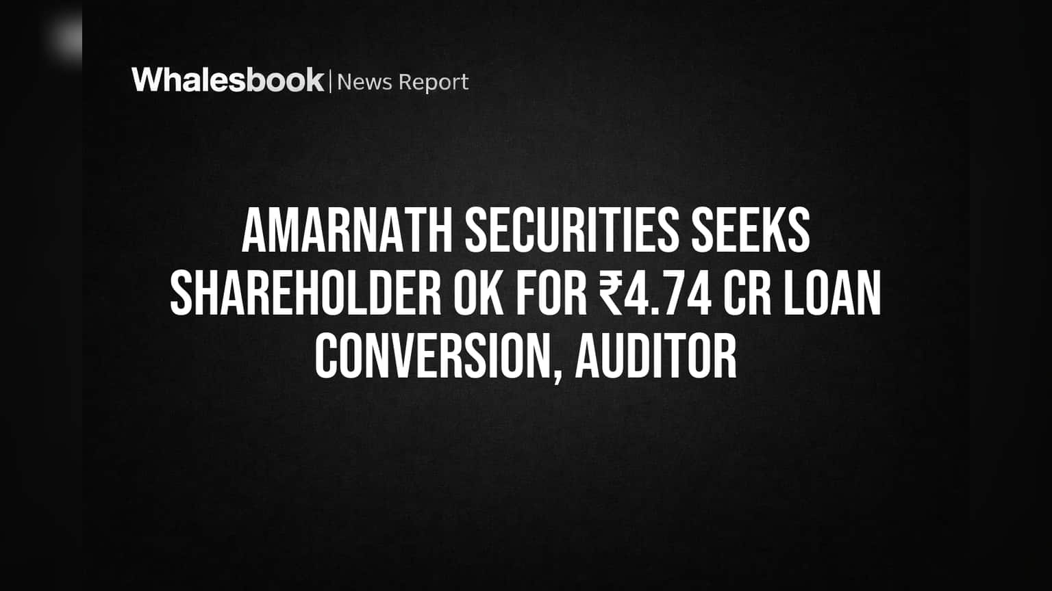 Amarnath Securities seeks shareholder OK for ₹4.74 Cr loan conversion, auditor