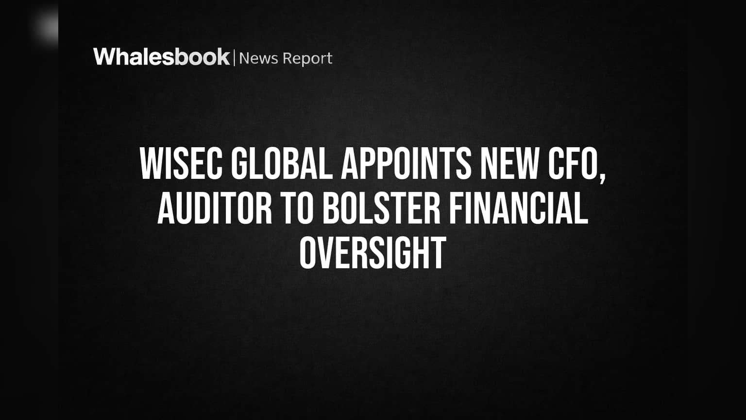 Wisec Global Appoints New CFO, Auditor to Bolster Financial Oversight