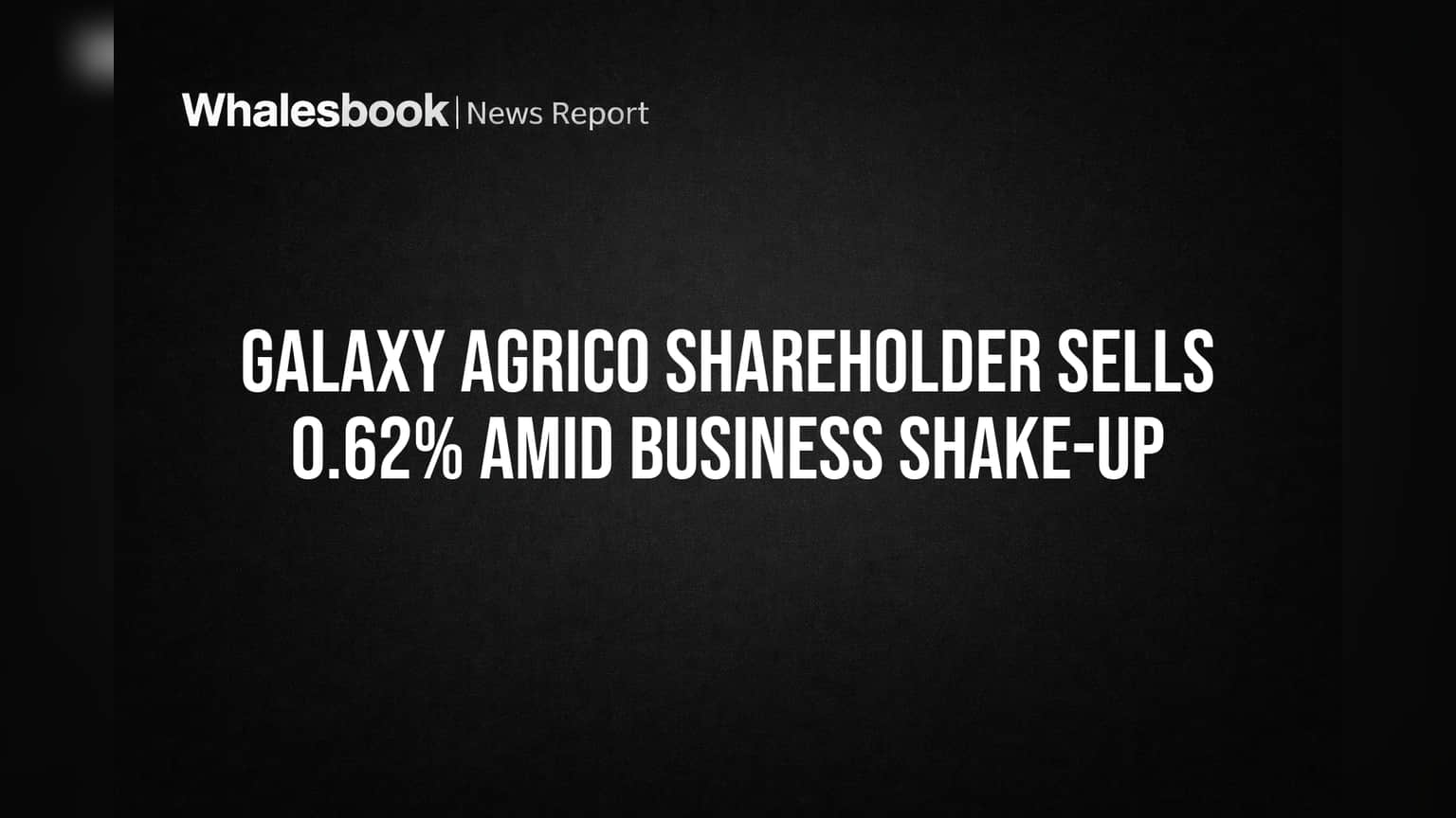 Galaxy Agrico Shares: મોટા ફેરફાર વચ્ચે શેરધારકે વેચી 0.62% હિસ્સો, કંપની હવે ફાઇનાન્સિયલ સર્વિસમાં!