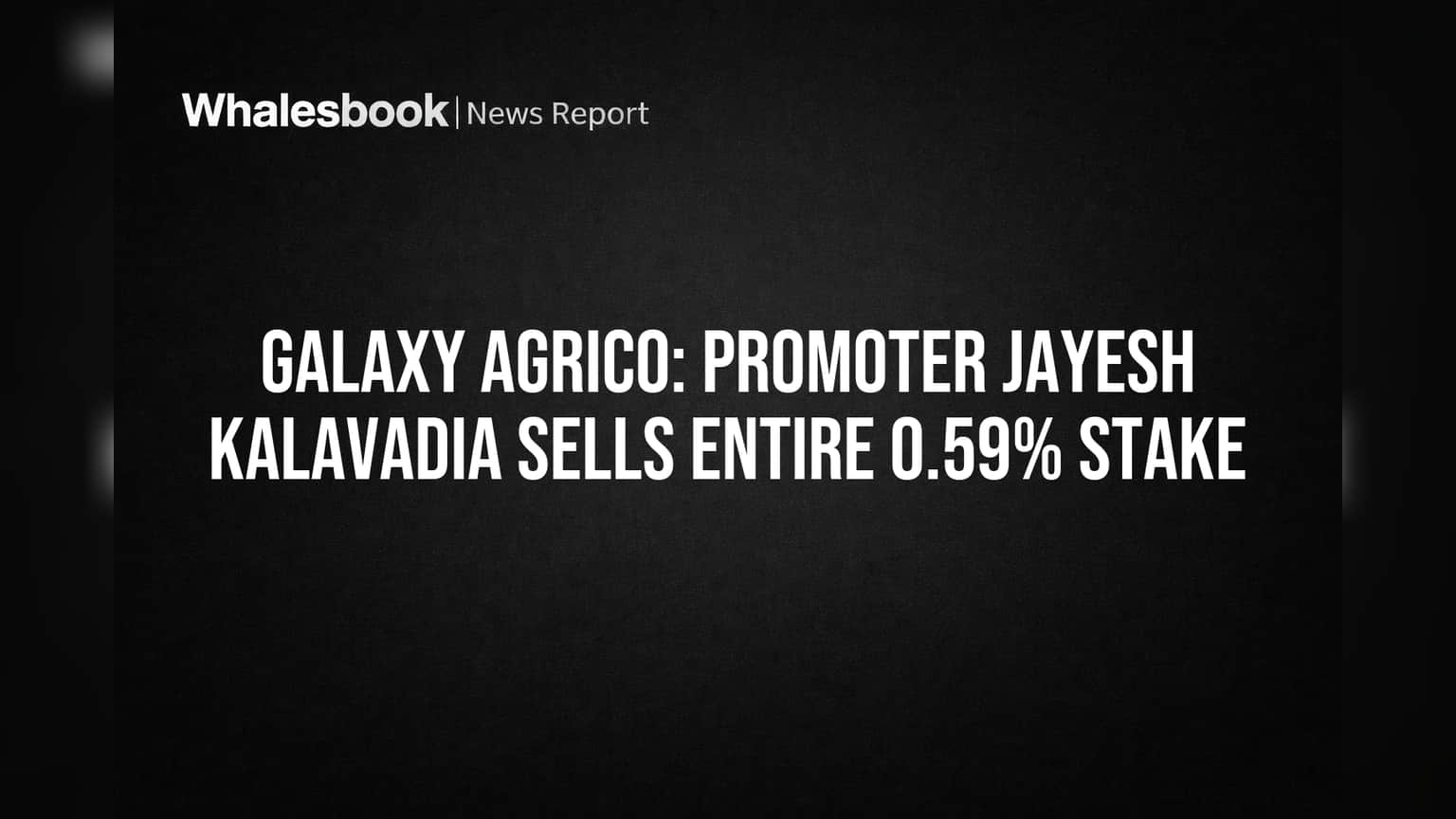 Galaxy Agrico Share Price: ப்ரொமோட்டர் முழு பங்கையும் விற்பனை! முதலீட்டாளர்கள் கவனிக்க வேண்டியவை!