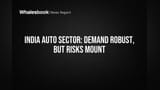 India Auto Sector: Demand toh mast hai, par risks bhi badh rahe hain!