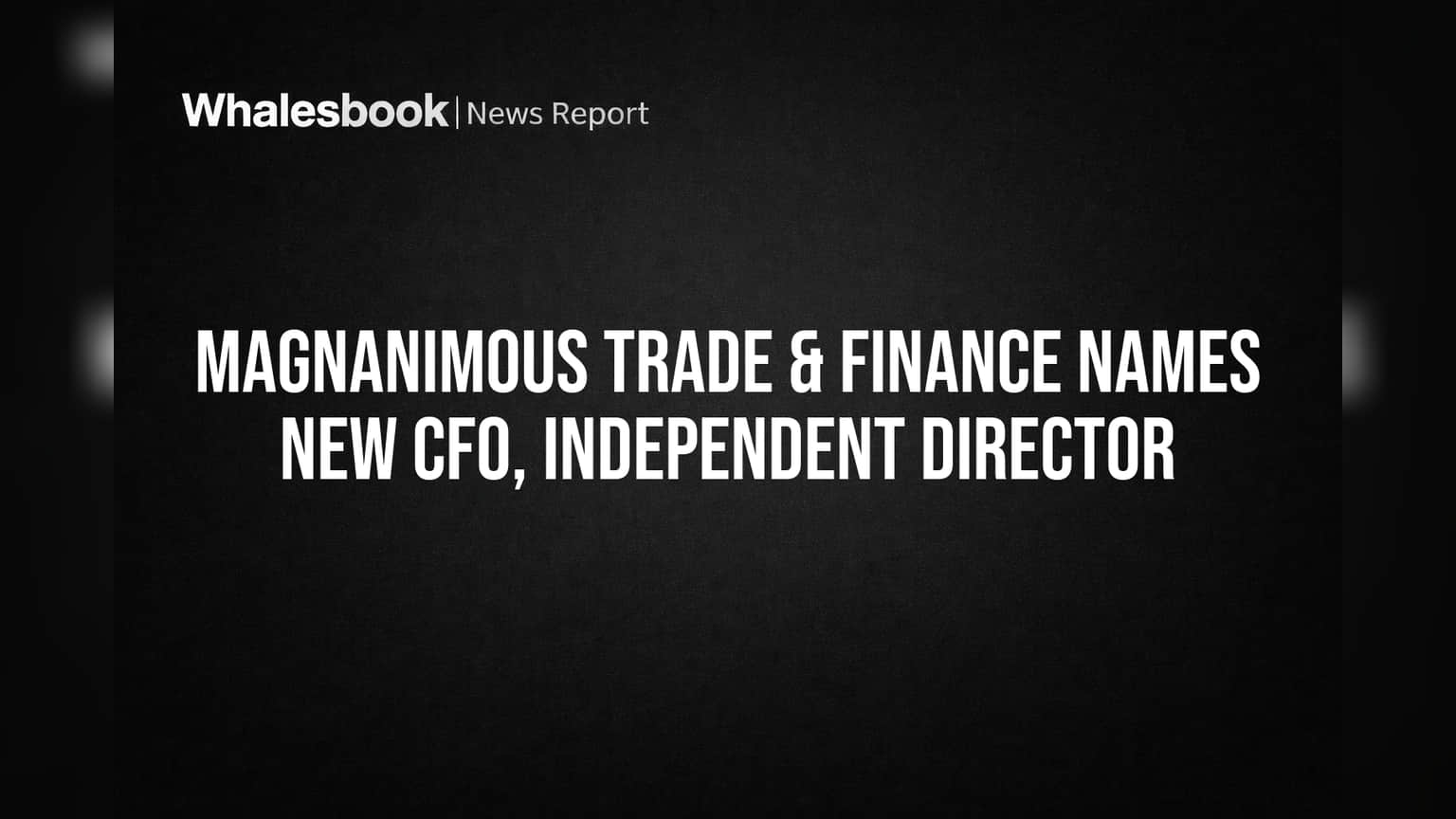 Magnanimous Trade & Finance Names New CFO, Independent Director