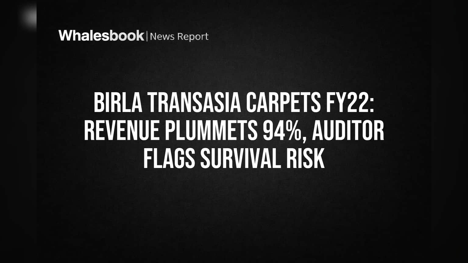Birla Transasia Carpets FY22: Revenue Plummets 94%, Auditor Flags Survival Risk