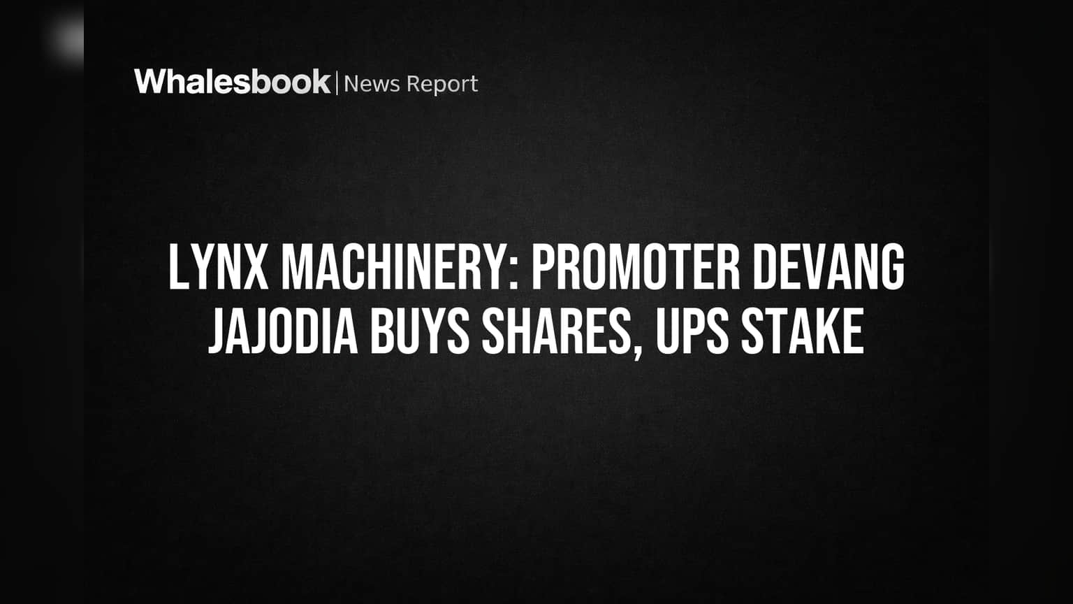 Lynx Machinery: प्रवर्तकाने वाढवली हिस्सेदारी! पण कंपनीची चिंता कायम?