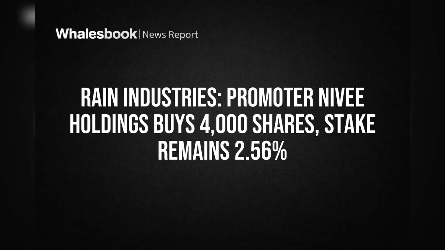 Rain Industries: Promoter Nivee Holdings Buys 4,000 Shares, Stake Remains 2.56%