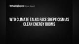 WTO हवामान चर्चा संथ गतीने, क्लीन एनर्जीचा बाजार मात्र तुफानी तेजीत!