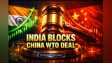 WTO मध्ये भारताची निर्णायक खेळी: चीनच्या कराराला रोखून अन्न सुरक्षेचा मुद्दा उचलला