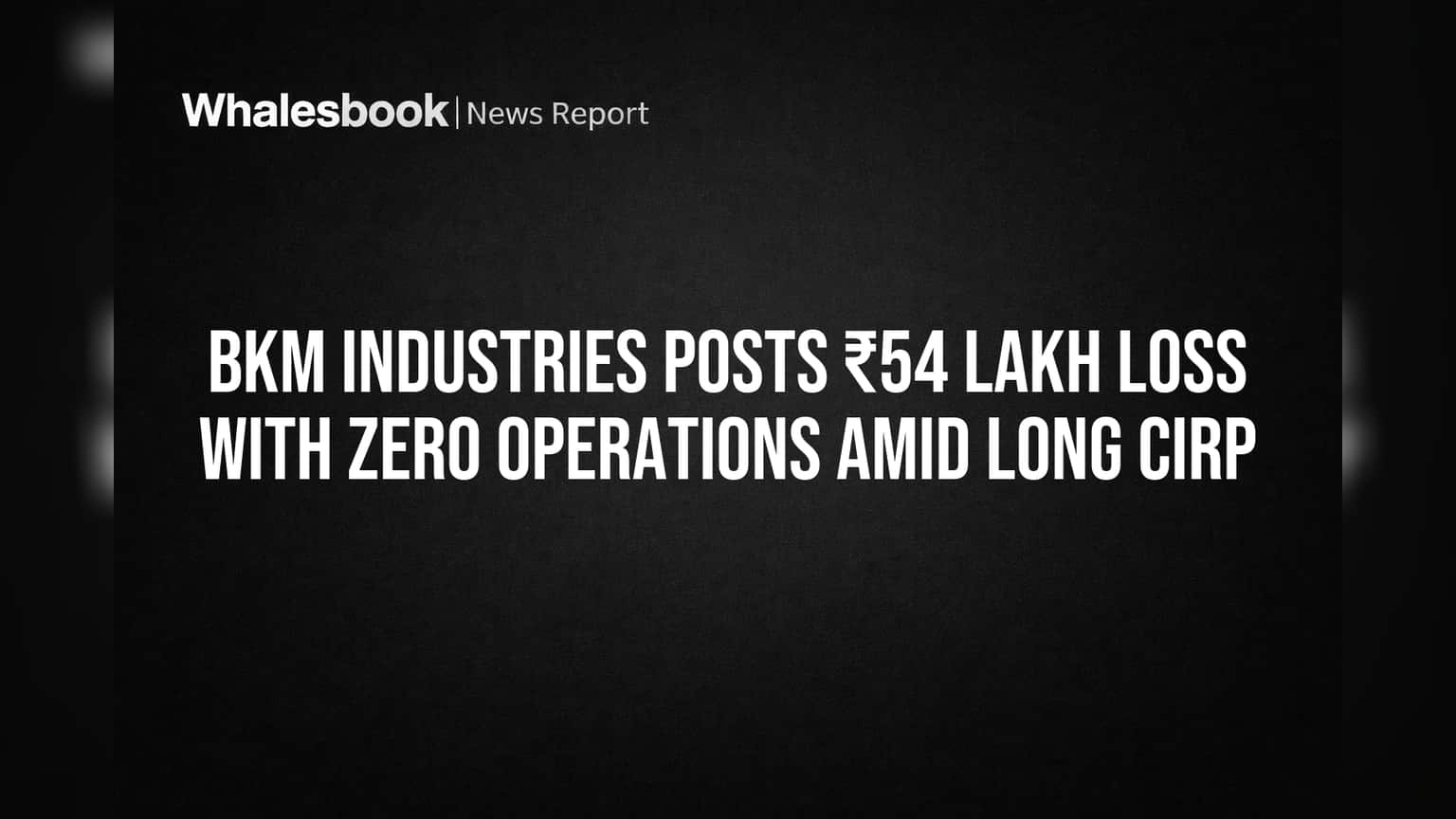 BKM Industries Posts ₹54 Lakh Loss With Zero Operations Amid Long CIRP