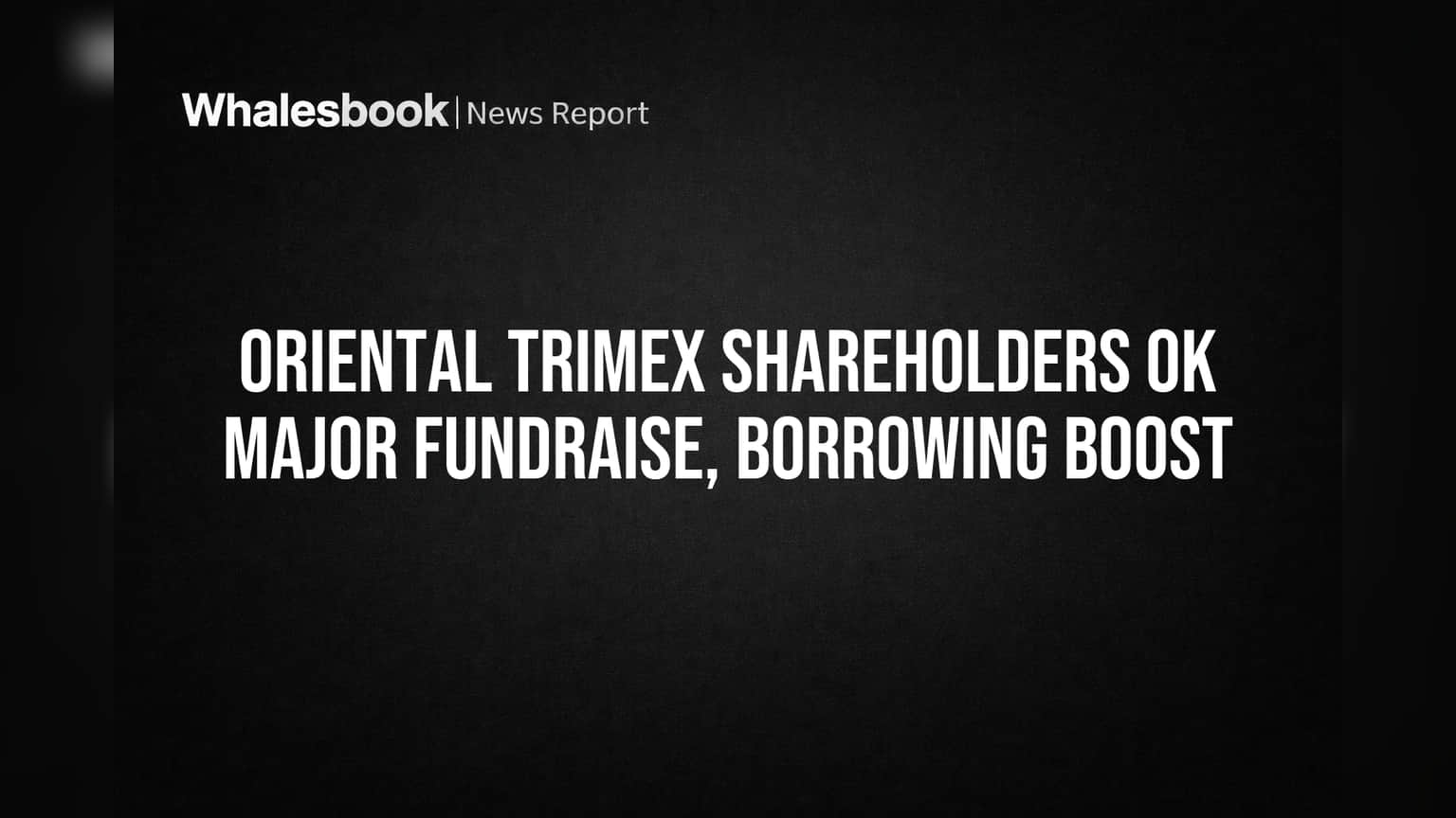 Oriental Trimex Share Price: शेअरहोल्डर्सनी दिला ग्रीन सिग्नल! कंपनी आता मोठी फंडरेझिंग आणि कर्ज उभारणीसाठी सज्ज