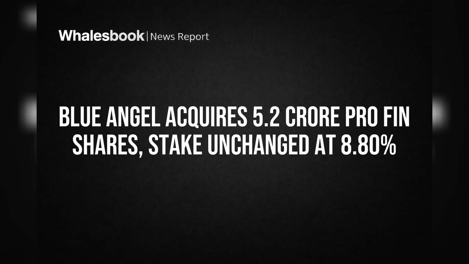 Pro Fin Capital Share: Blue Angel ने केली **5.2 कोटी शेअर्स**ची खरेदी! तरीही हिस्सेदारी **8.80%** वर कायम