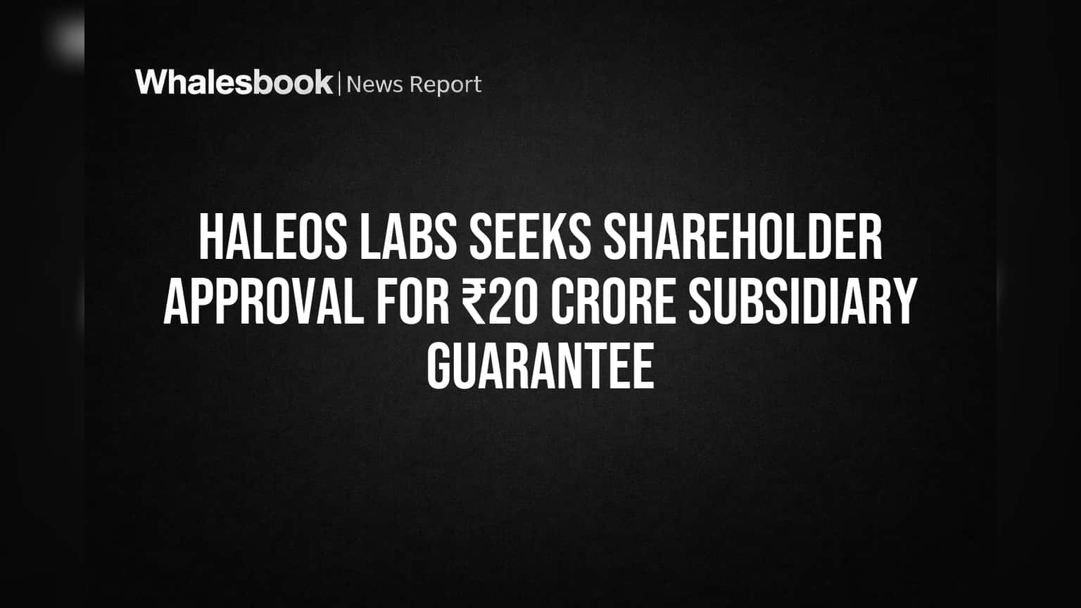 Haleos Labs: शेअरधारकांचा निर्णय महत्त्वाचा! उपकंपनीसाठी ₹20 कोटींच्या गॅरंटीवर मतदान