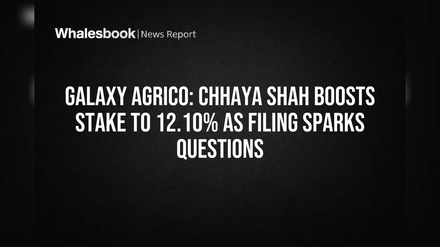 Galaxy Agrico Exports: Chhaya Shah ਨੇ ਵਧਾਈ ਹਿੱਸੇਦਾਰੀ, ਪਰ ਇਹ ਗੜਬੜੀ ਵਾਲੀ ਫਾਈਲਿੰਗ ਕੀ ਕਹਿੰਦੀ ਹੈ?