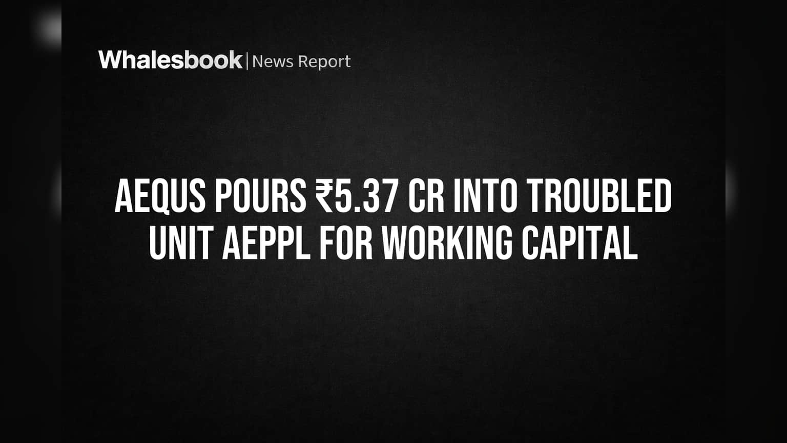 Aequs Pours ₹5.37 Cr Into Troubled Unit AEPPL for Working Capital