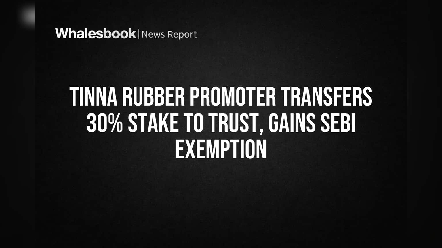 Tinna Rubber Share Price: प्रमोटरची धाडसी खेळी! 30% स्टेक फॅमिली ट्रस्टला, SEBI कडून मोठी सूट