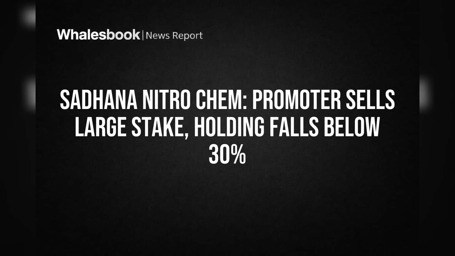 Sadhana Nitro Chem: Promoter Sells Large Stake, Holding Falls Below 30%