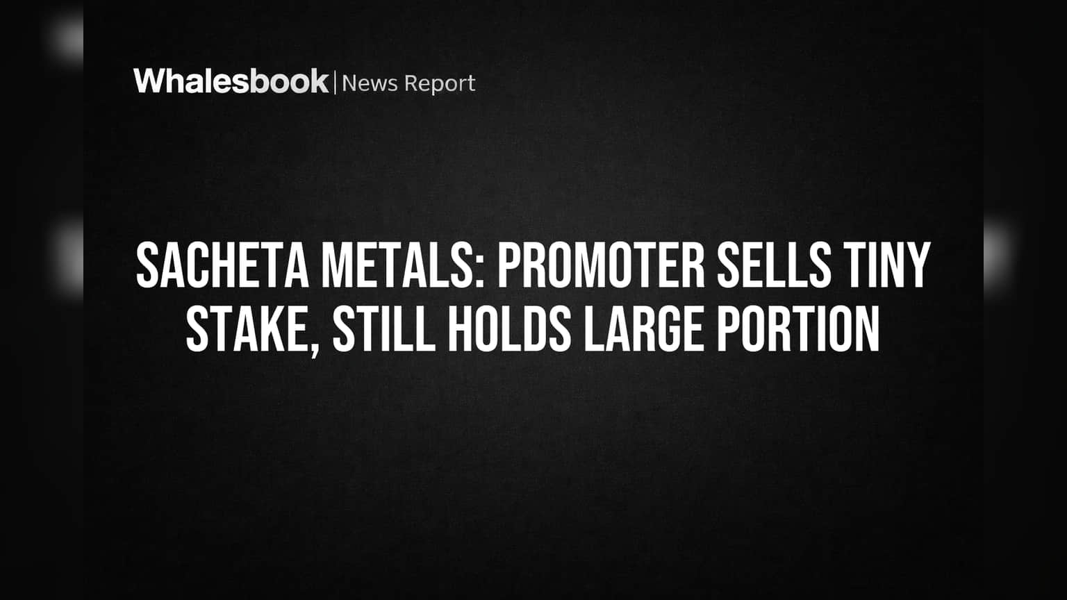 Sacheta Metals: புரொமோட்டர் சிறிய அளவில் பங்கு விற்பனை! முதலீட்டாளர்கள் கவனிக்க வேண்டியவை!