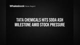टाटा केमिकल्सचा मोठा विक्रम! मिठापूर प्लांटमध्ये १ दशलक्ष टन सोडा ऍशचे उत्पादन; पण शेअर धास्तावलेला?