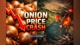 Maharashtra Onion Crisis: Farmers ka bura haal, price ₹100 pe giri, export ki bandish ne kiya barbaad!