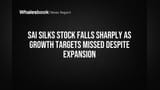 Sai Silks Stock Falls Sharply as Growth Targets Missed Despite Expansion
