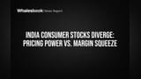 Nomura चा अंदाज: भारतीय ग्राहक शेअर्सचे भविष्य विभागले; 'या' कंपन्या मालामाल, तर 'या' मात्र संकटात