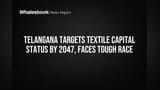 Telangana Targets Textile Capital Status by 2047, Faces Tough Race