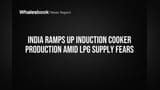 LPG पुरवठ्यावर सावट? इंडक्शन कुकर उत्पादन वाढवणार भारत सरकार