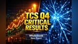 TCS Q4 Earnings April 9: Dividend, AI Updates Key for Investors