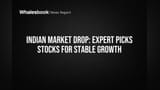 Indian Market Drop: Expert Picks Stocks for Stable Growth