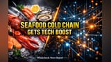 India's Seafood Tech Revolution Leaves Artisanal Fishers Stranded