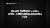 Vedanta Aluminium Secures Downstream Partners for Odisha Park