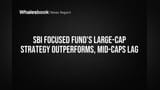 SBI Focused Fund's Large-Cap Strategy Outperforms, Mid-Caps Lag