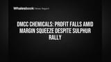 DMCC Chemicals: Profit Falls Amid Margin Squeeze Despite Sulphur Rally