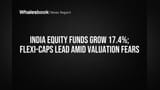 India Equity Funds Grow 17.4%; Flexi-Caps Lead Amid Valuation Fears